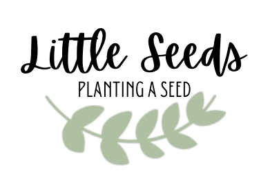 Little Seeds RI